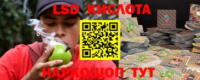 ешки Можга