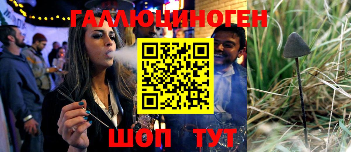 Псилоцибиновые грибы ЛСД Чехов