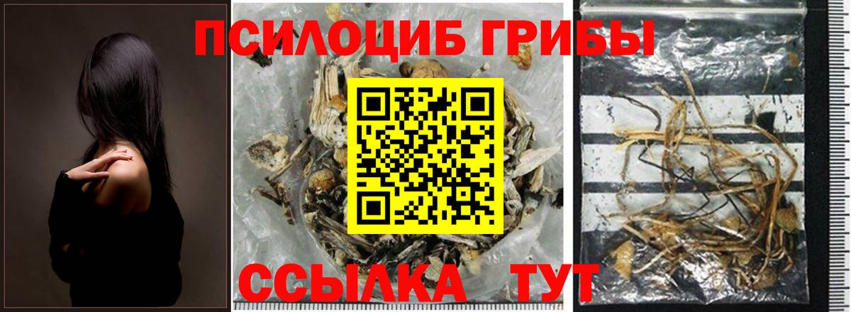Псилоцибиновые грибы GOLDEN TEACHER  Галлюциногенные грибы прущие грибы  Вход с VPN  Чехов 