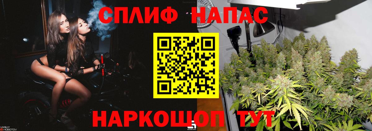Канабис конопля Чехов